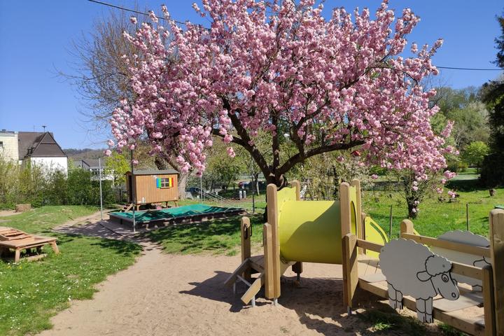 Sonnenschutz für den Kindergarten - Förderprogramme 