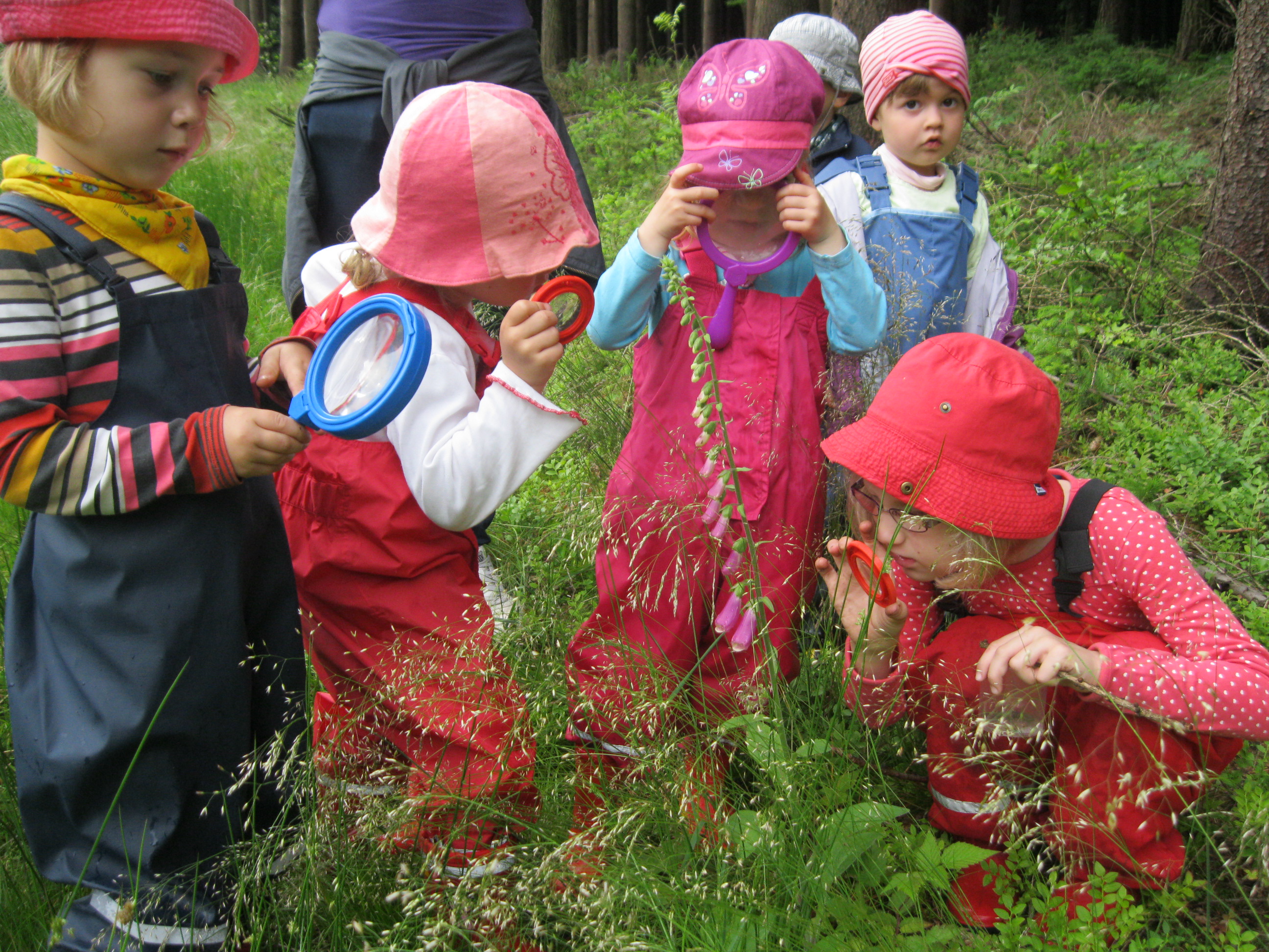 Christlicher Kindergarten Entdeckerland e.V. - Förderprogramme | Haus
