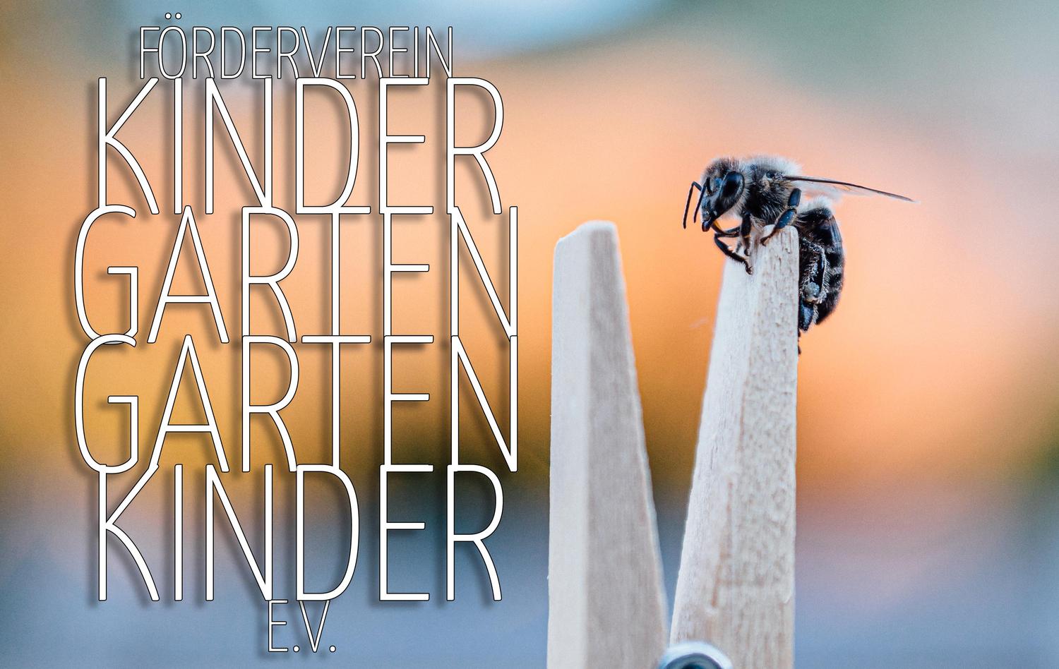  Foto zu Förderverein Kindergarten Gartenkinder e.V. - Förderprogramme 